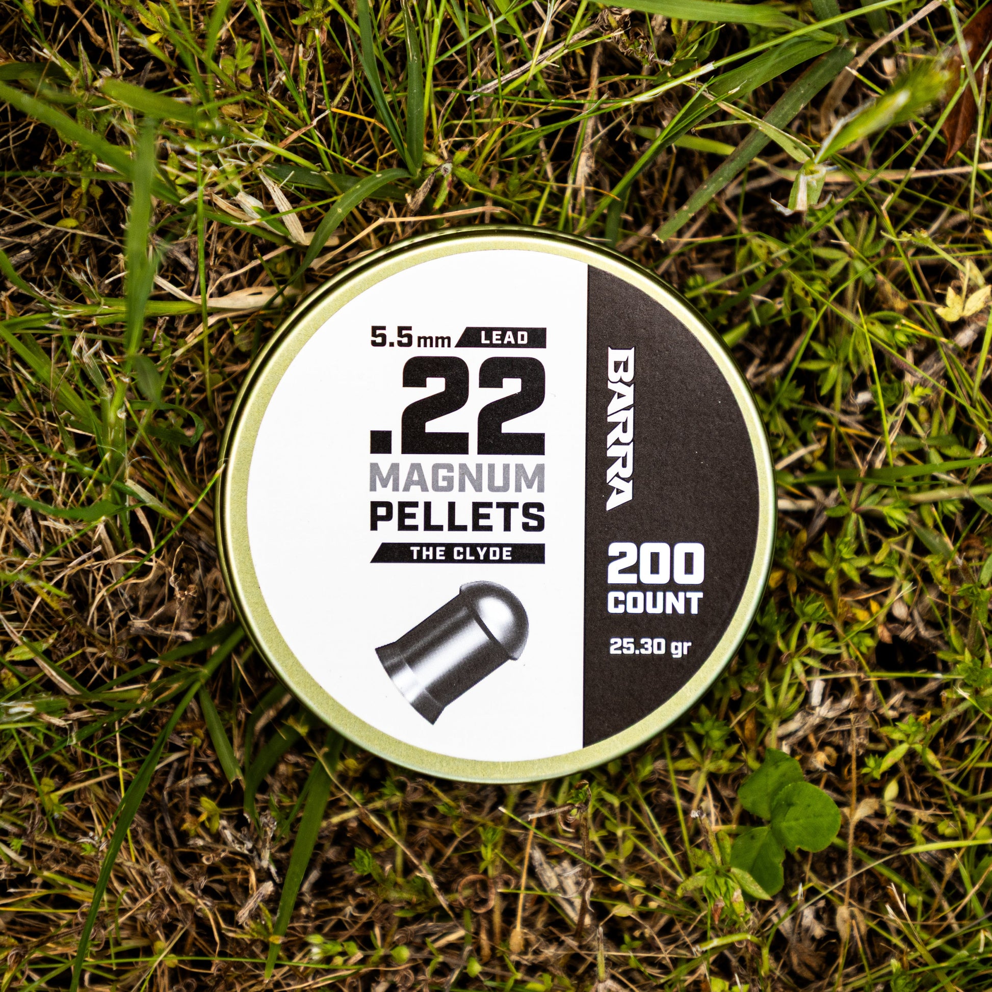 Clyde Heavy .22 Caliber Pellets - 200 Count