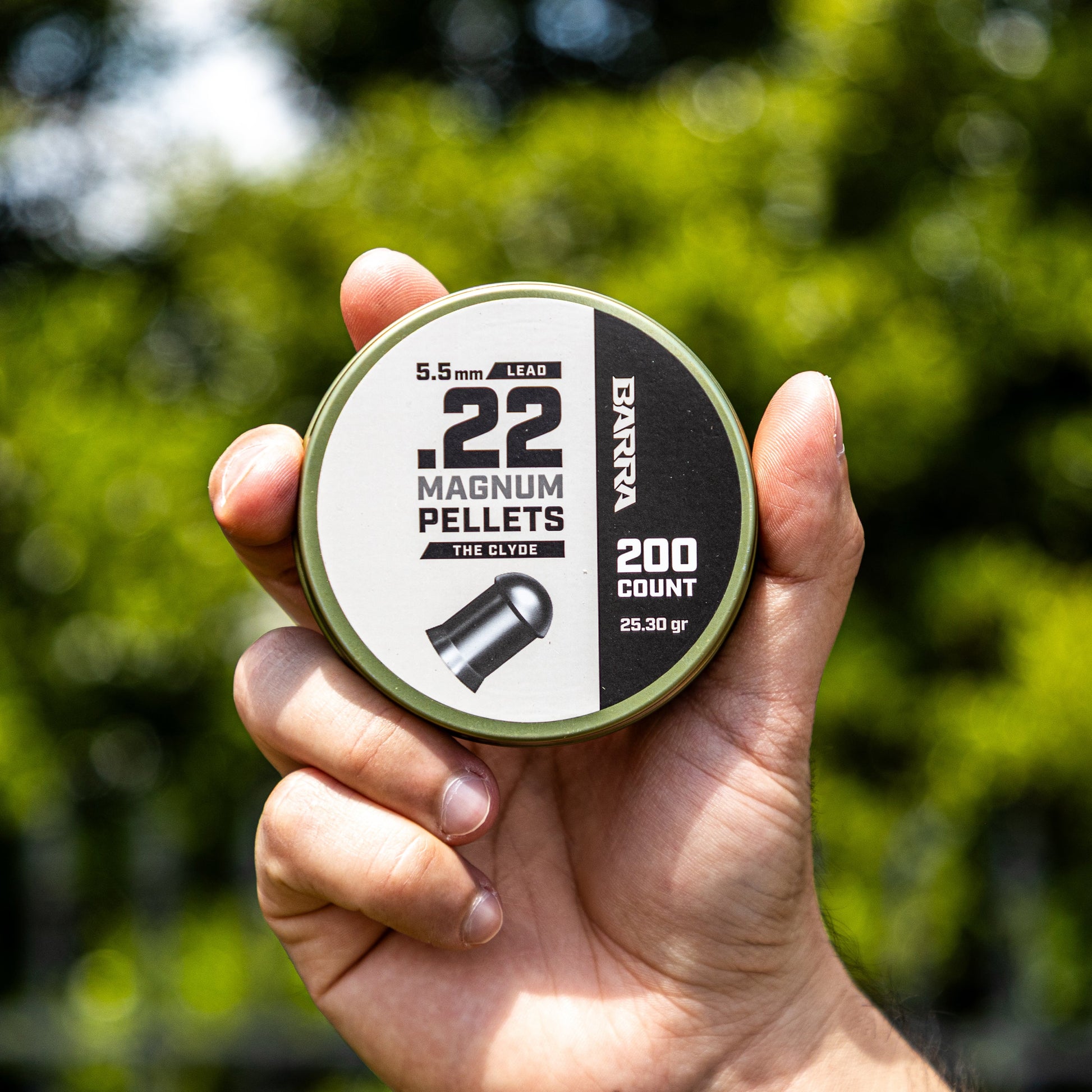 Clyde Heavy .22 Caliber Pellets - 200 Count