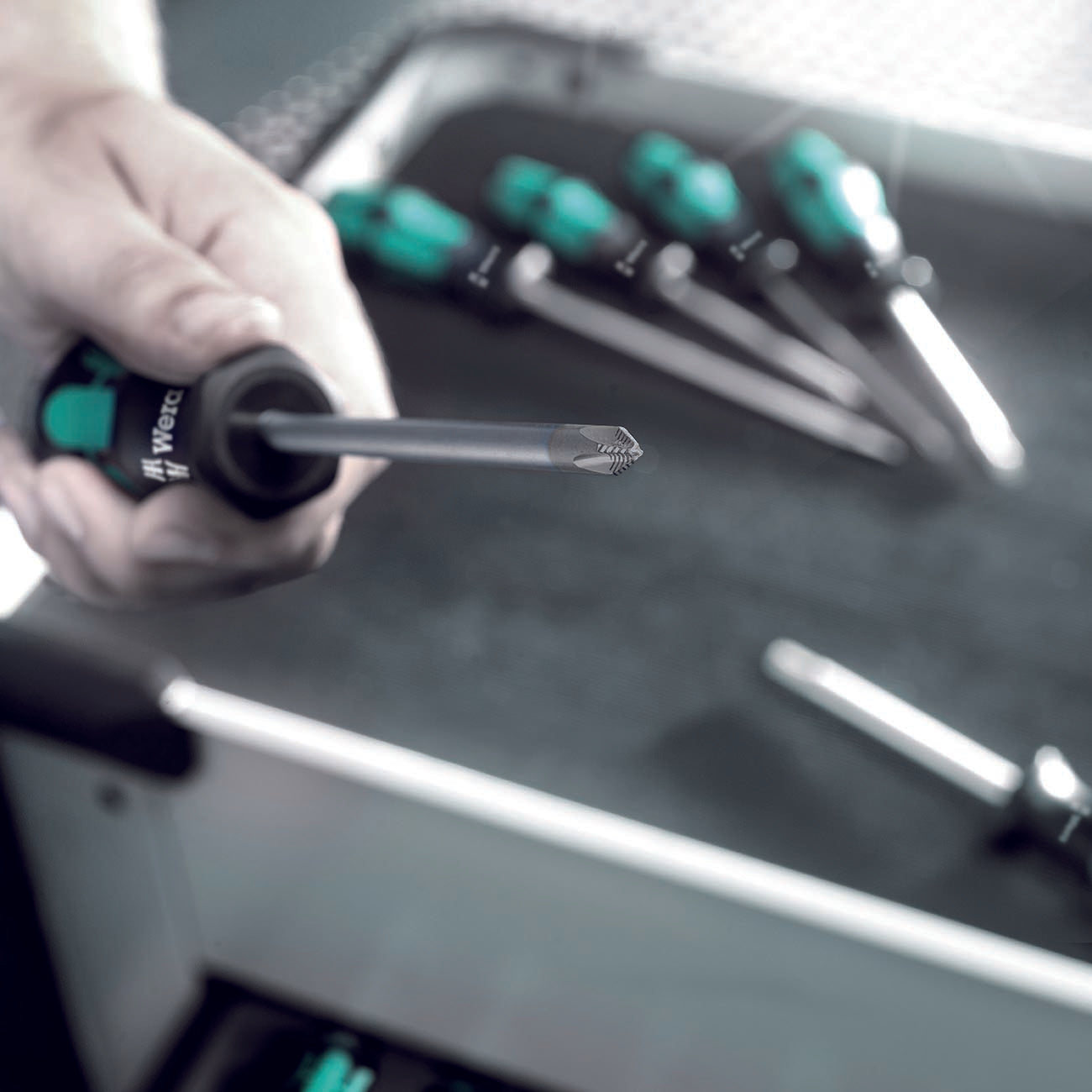 Wera TORX Screwdriver Set with Hold Function and Rack (6-Piece Set)