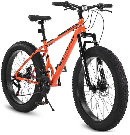 CARPAT Mountain Dirt Bikes
