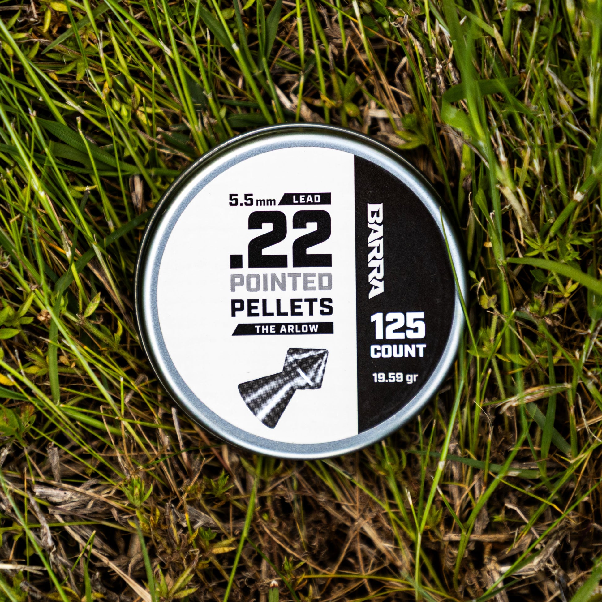 Arlow Pointed Tip .22 Caliber Pellets - 125 Count