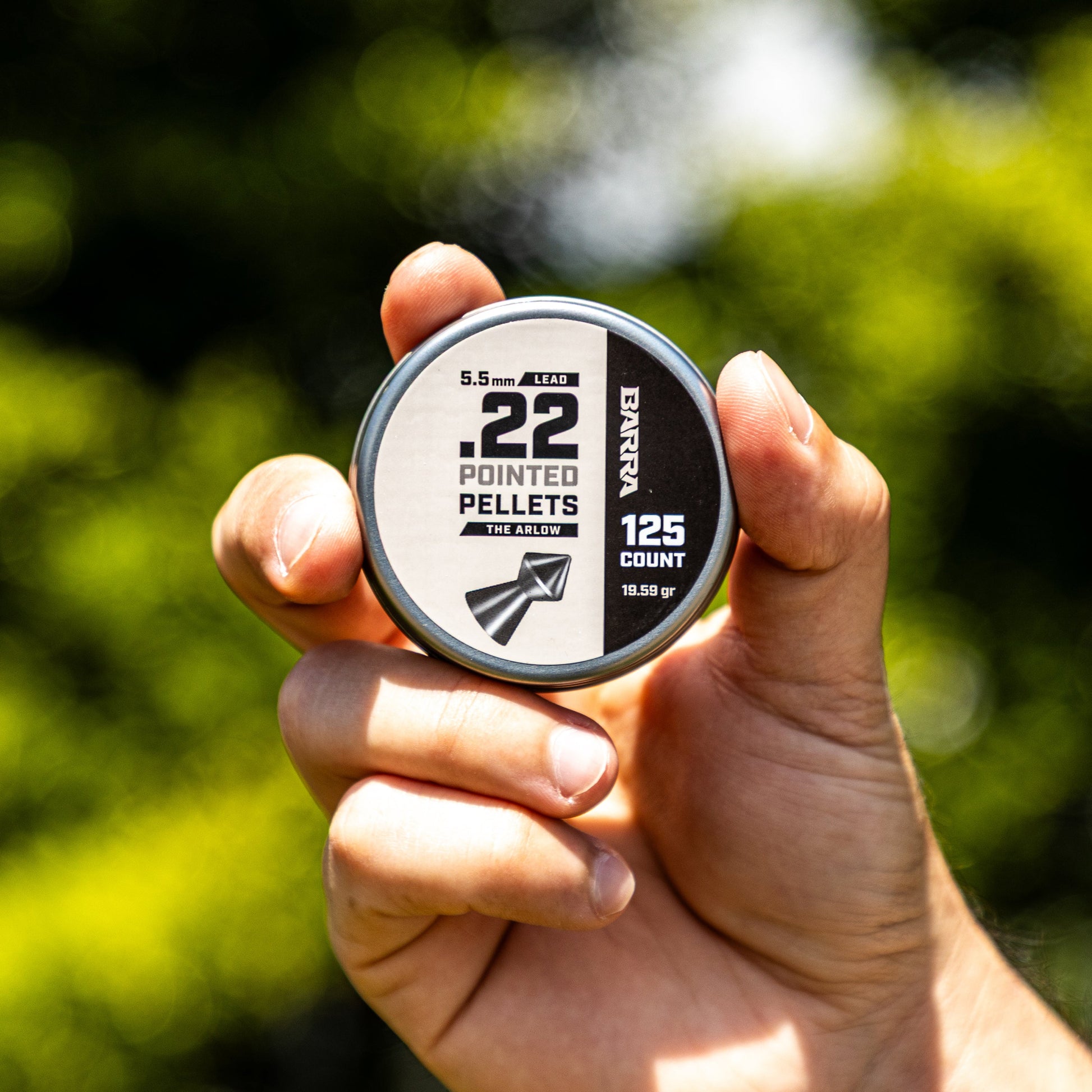 Arlow Pointed Tip .22 Caliber Pellets - 125 Count