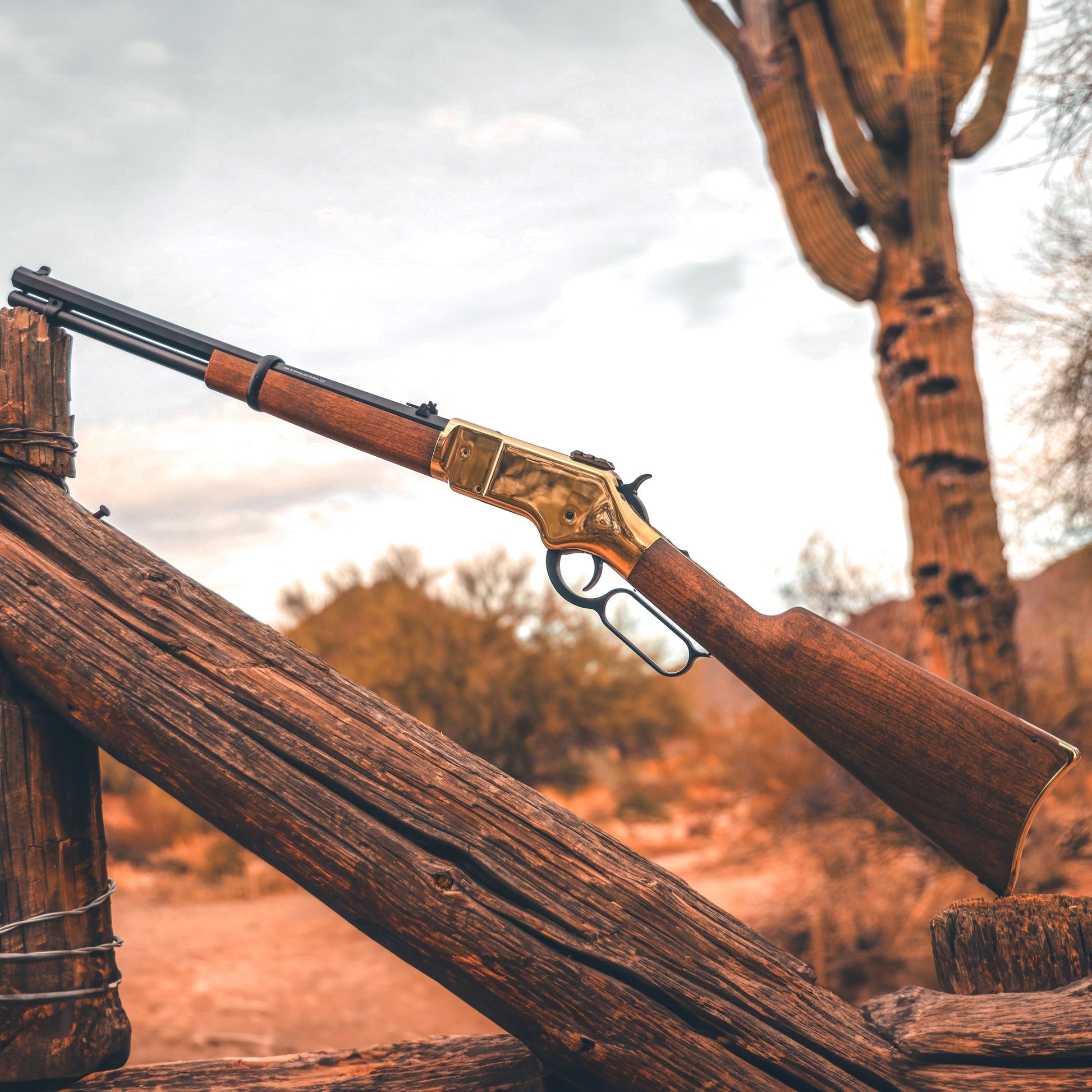 1866 CO2 .177 - Gold