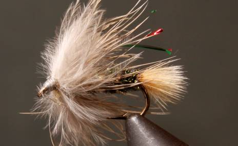 Prince - Sparkle (Soft Hackle)