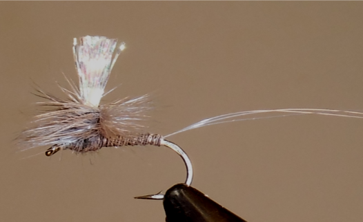 Parachute Crystal Drake - Grey