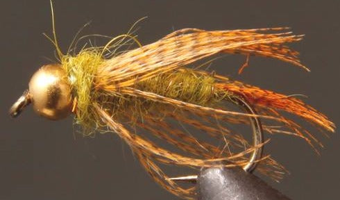 BH Birds Nest - Olive