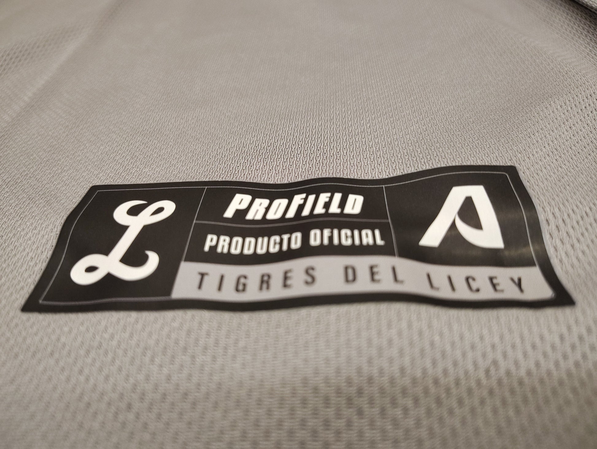 2025-2026 Official Licey Classic Gray Jersey Arrieta - Men's Fan LIDOM Baseball