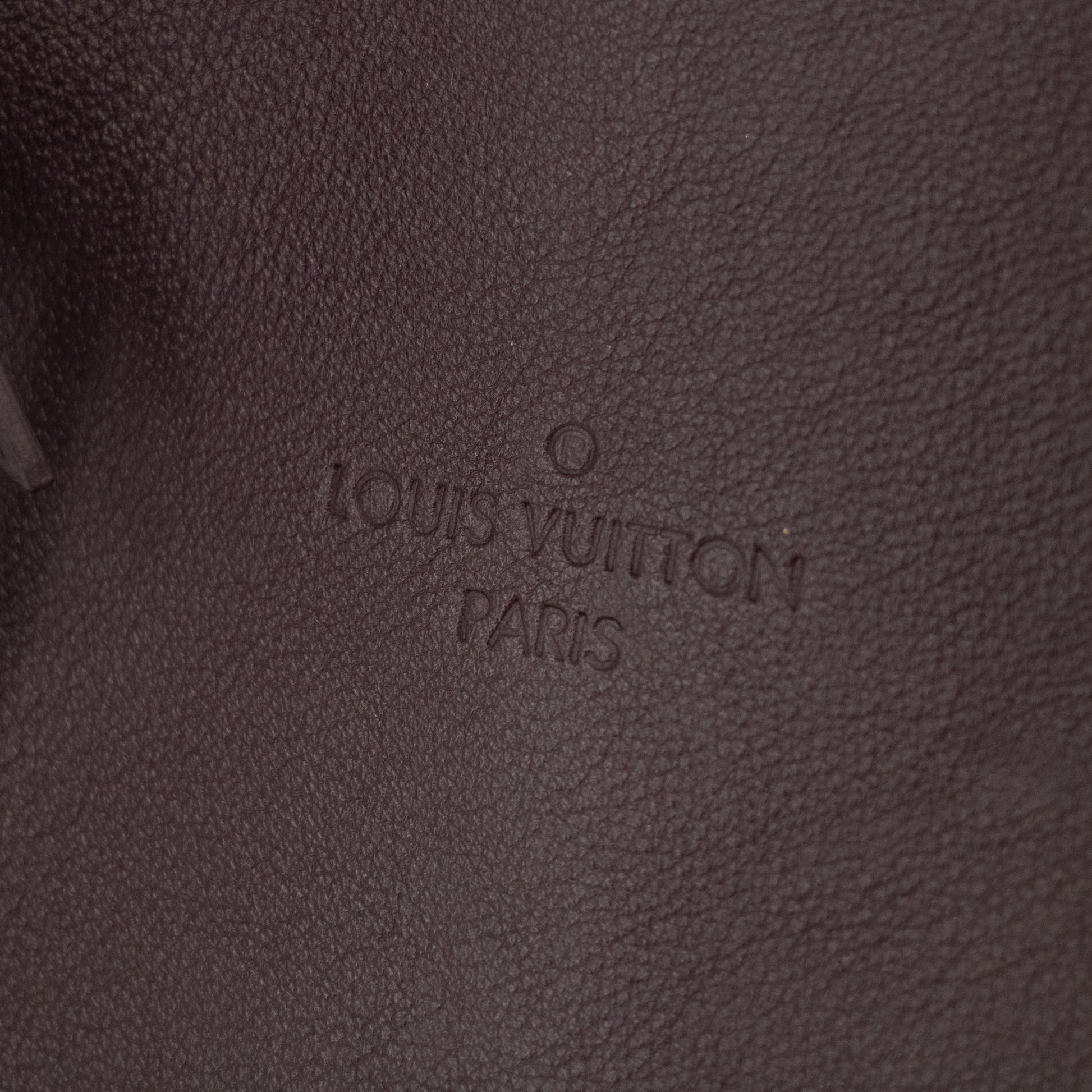 Louis Vuitton Purple Leather Rock it Handbag -#2548