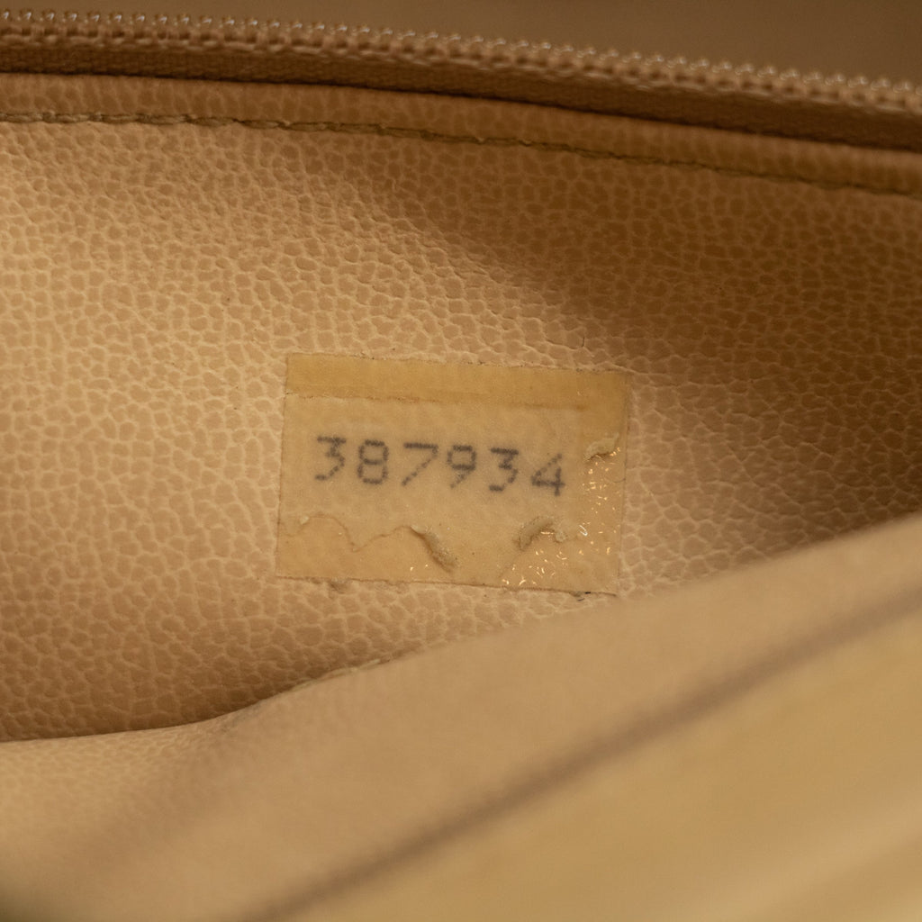 Chanel Lambskin Chevron Beige Camera Bag   #2567
