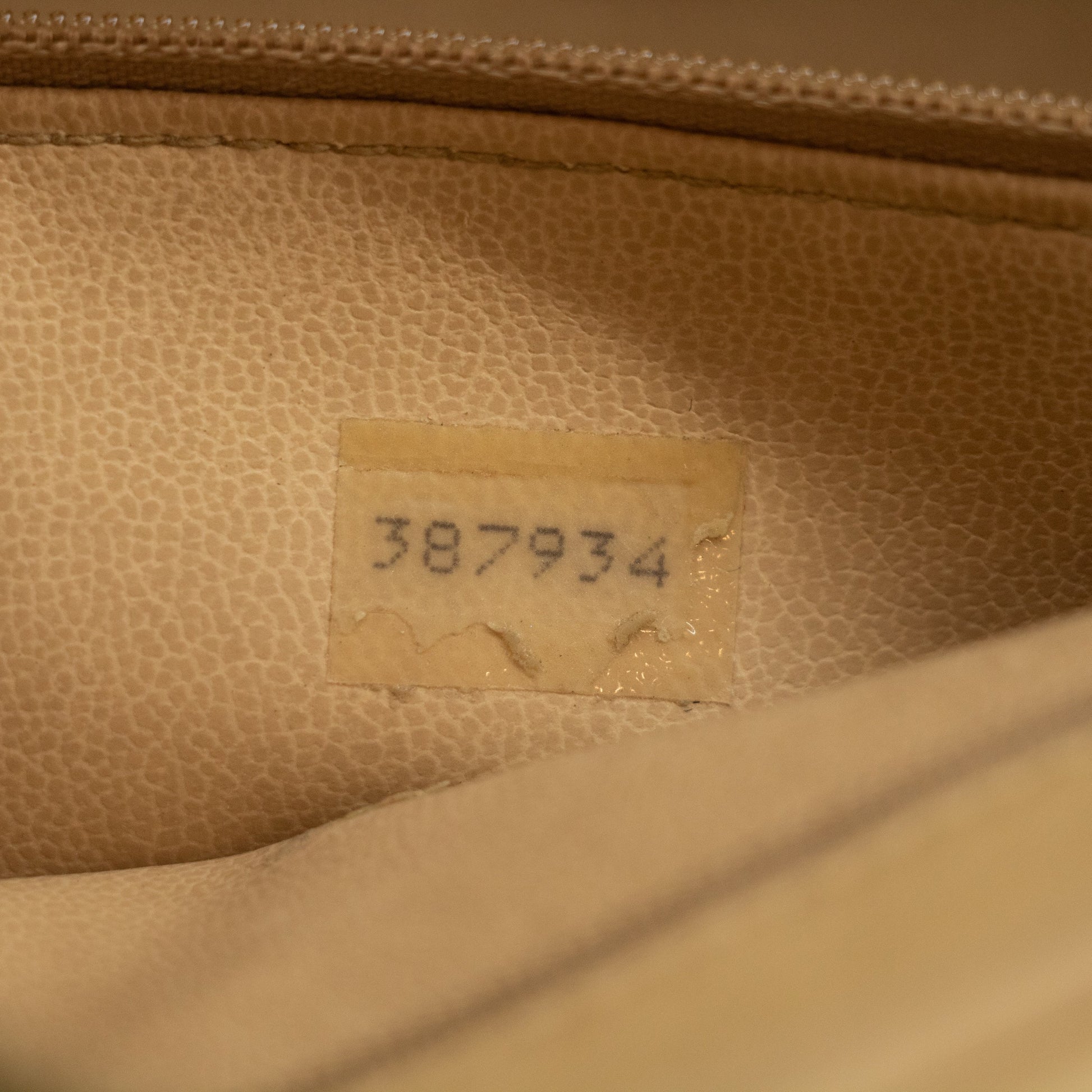 Chanel Lambskin Chevron Beige Camera Bag   #2567