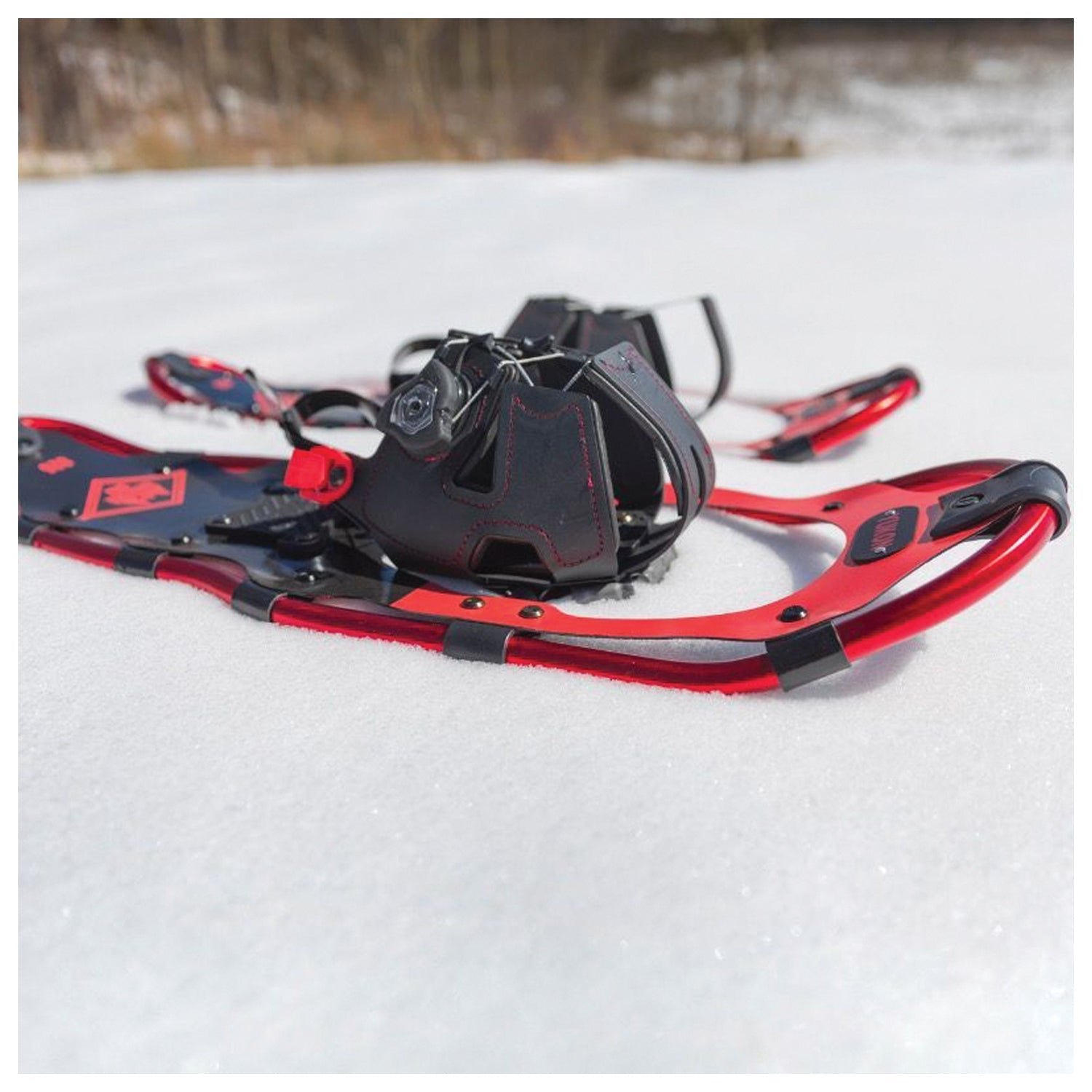Advanced Spin Snwshoe Kit 8 X25