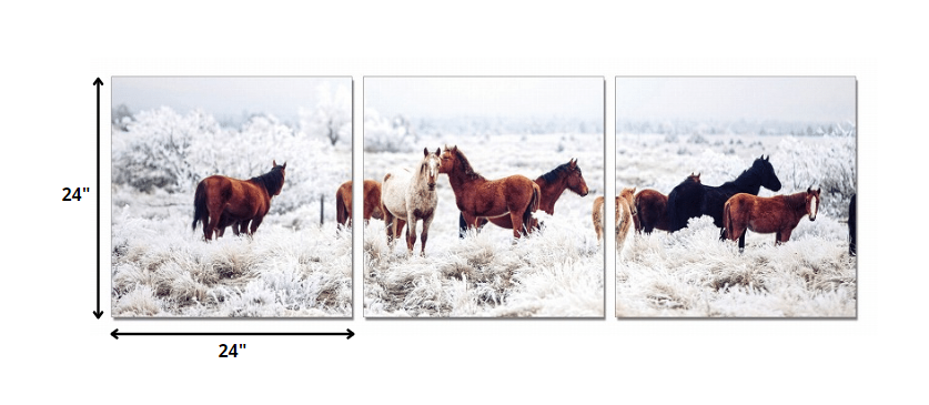 Set of Three White Canvas Square Framed Art