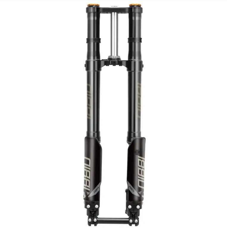38MM DUAL SPRING Fork