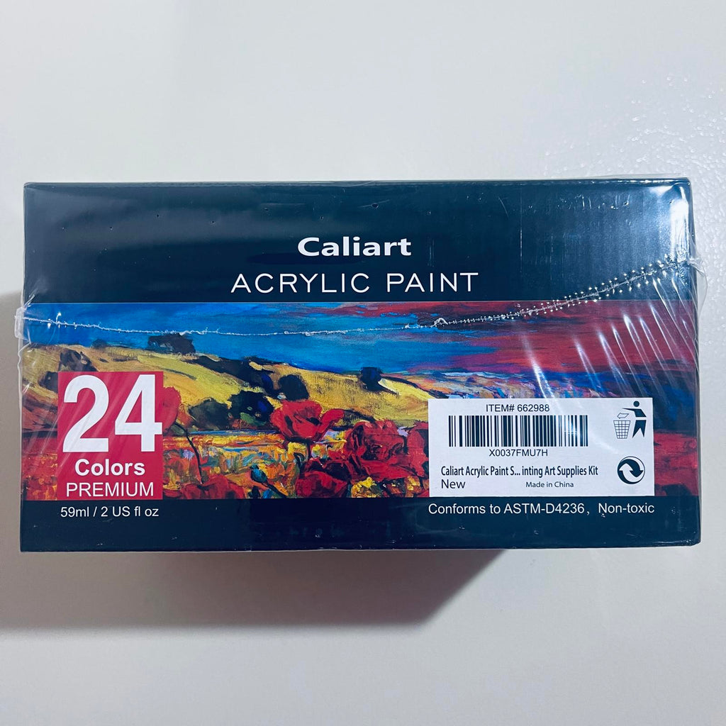 DAMAGED - Acrylic Paint Art Supply Classroom Bundle - SOLD AS IS - PARTS ONLY