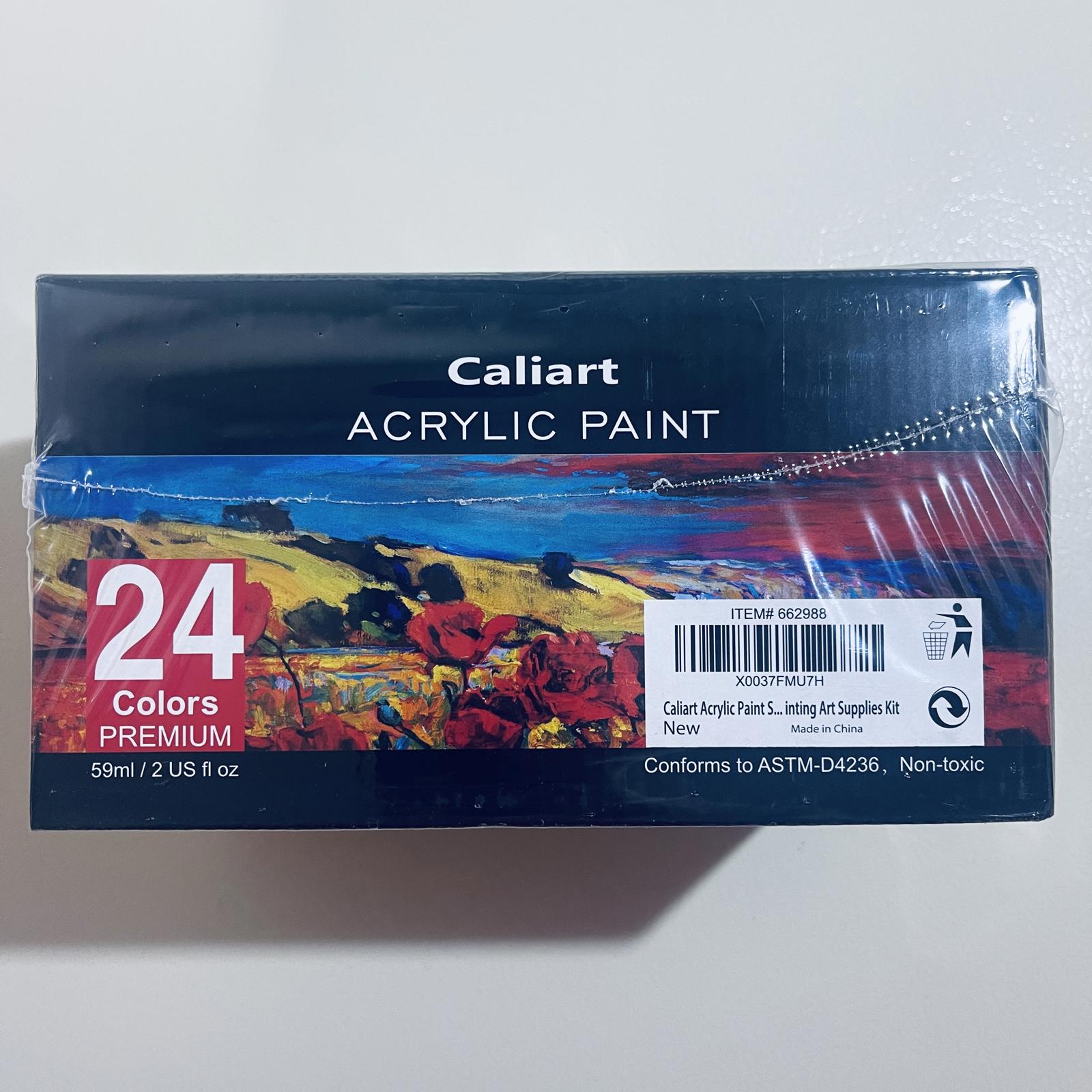 DAMAGED - Acrylic Paint Art Supply Classroom Bundle - SOLD AS IS - PARTS ONLY