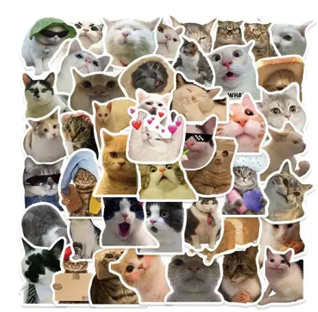 50 Purr-fectly Fun Cat Meme Stickers