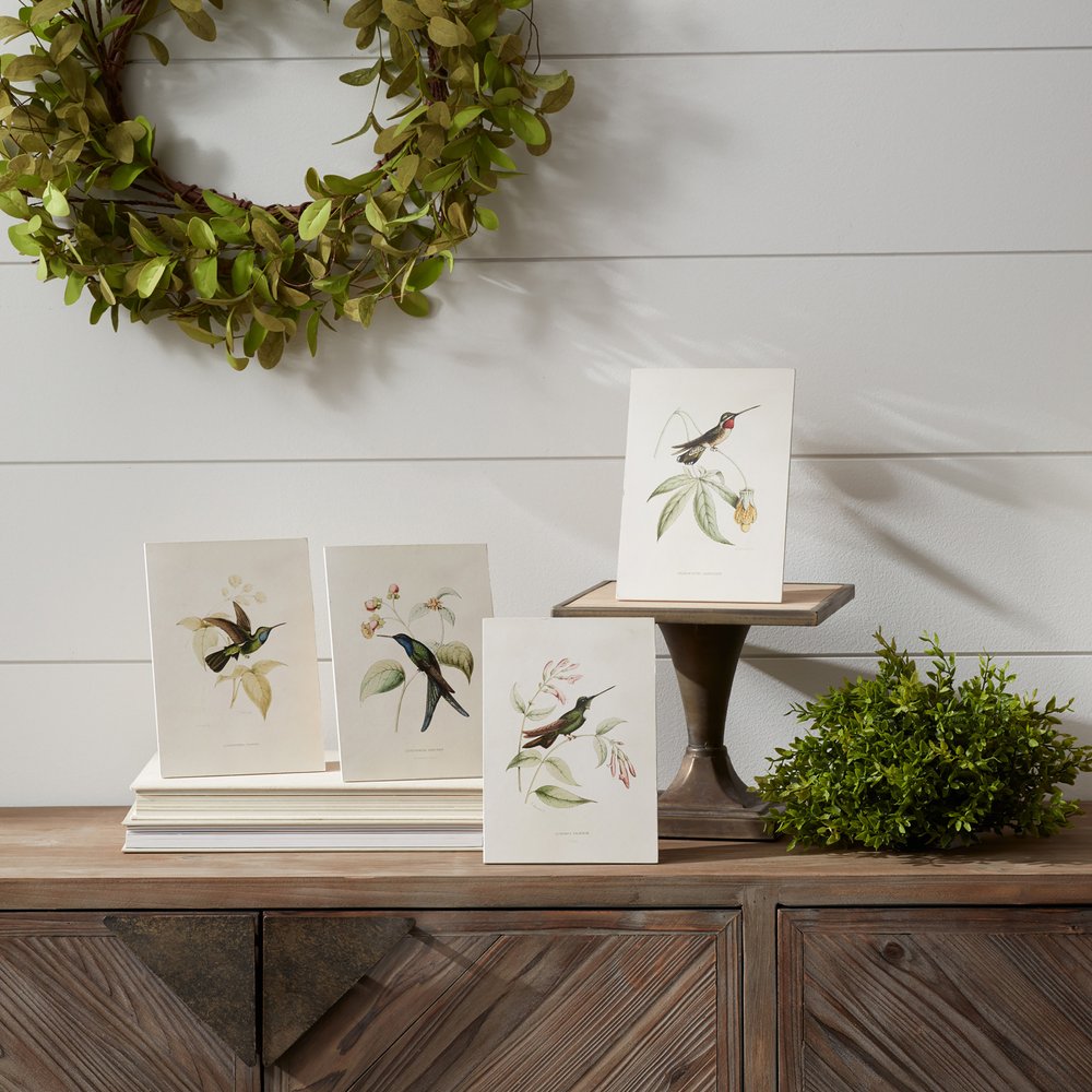Set of Four White Hummingbird Art