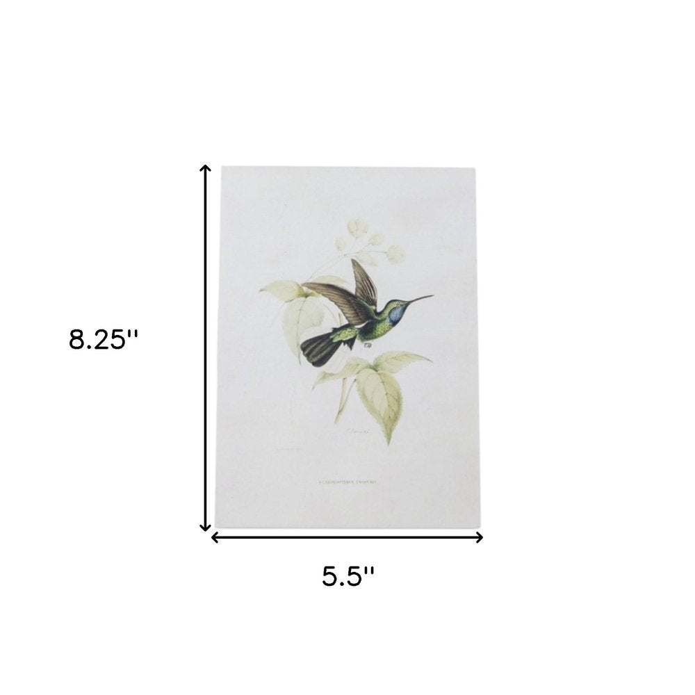 Set of Four White Hummingbird Art