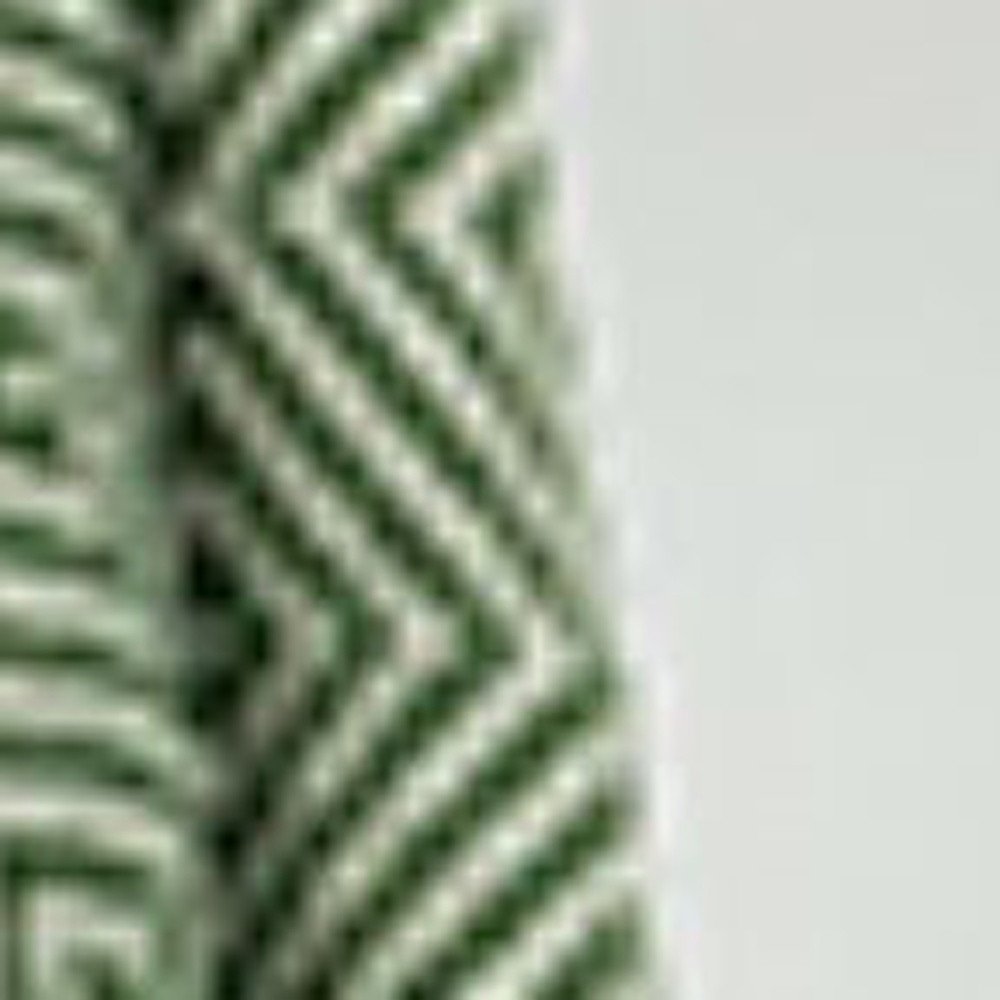 50" X 60" Green Cotton Woven Geometric Throw Blanket with Fringe