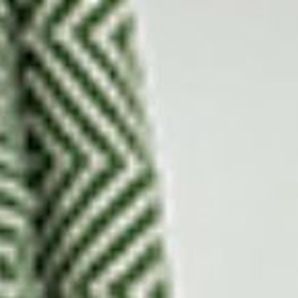 50" X 60" Green Cotton Woven Geometric Throw Blanket with Fringe