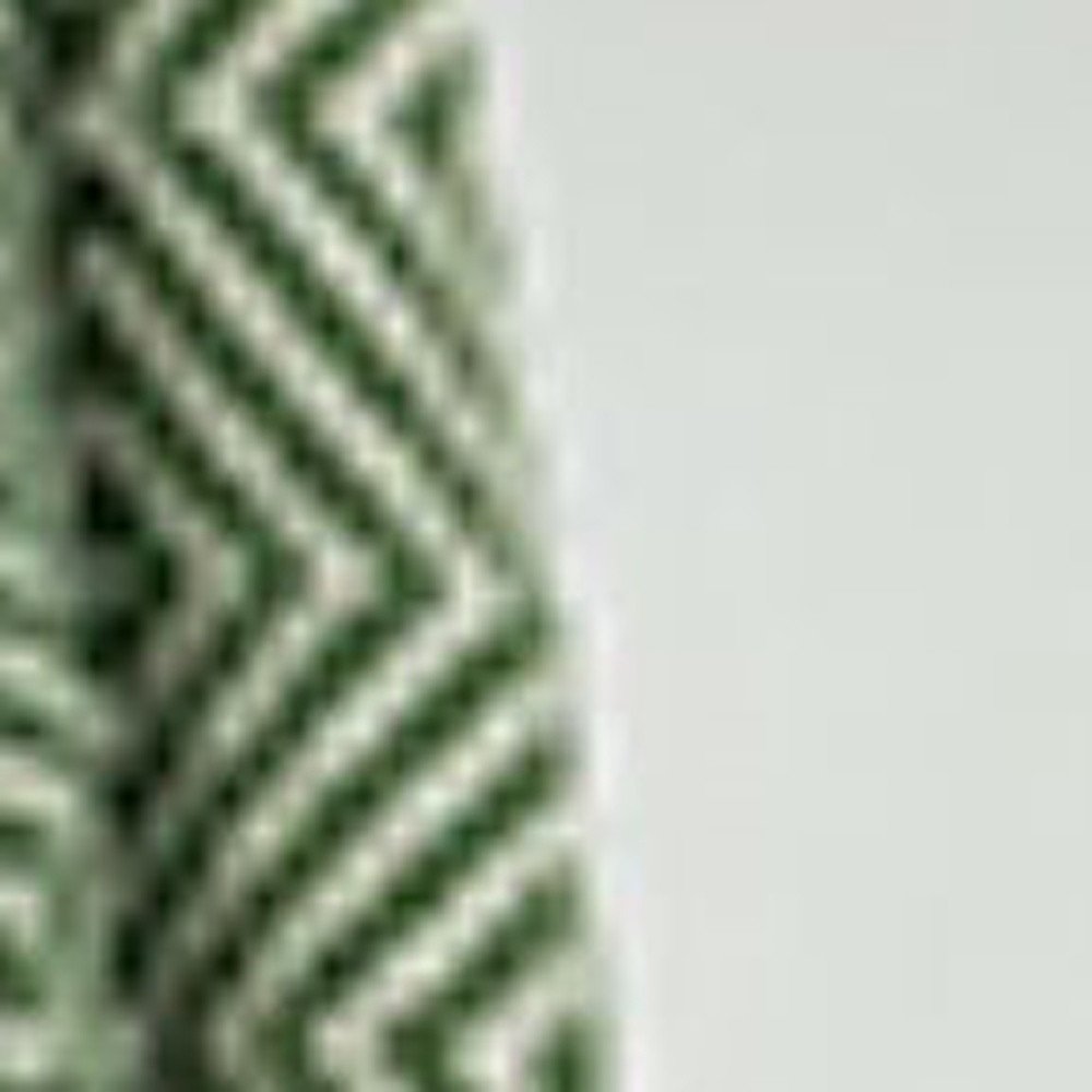 50" X 60" Green Cotton Woven Geometric Throw Blanket with Fringe