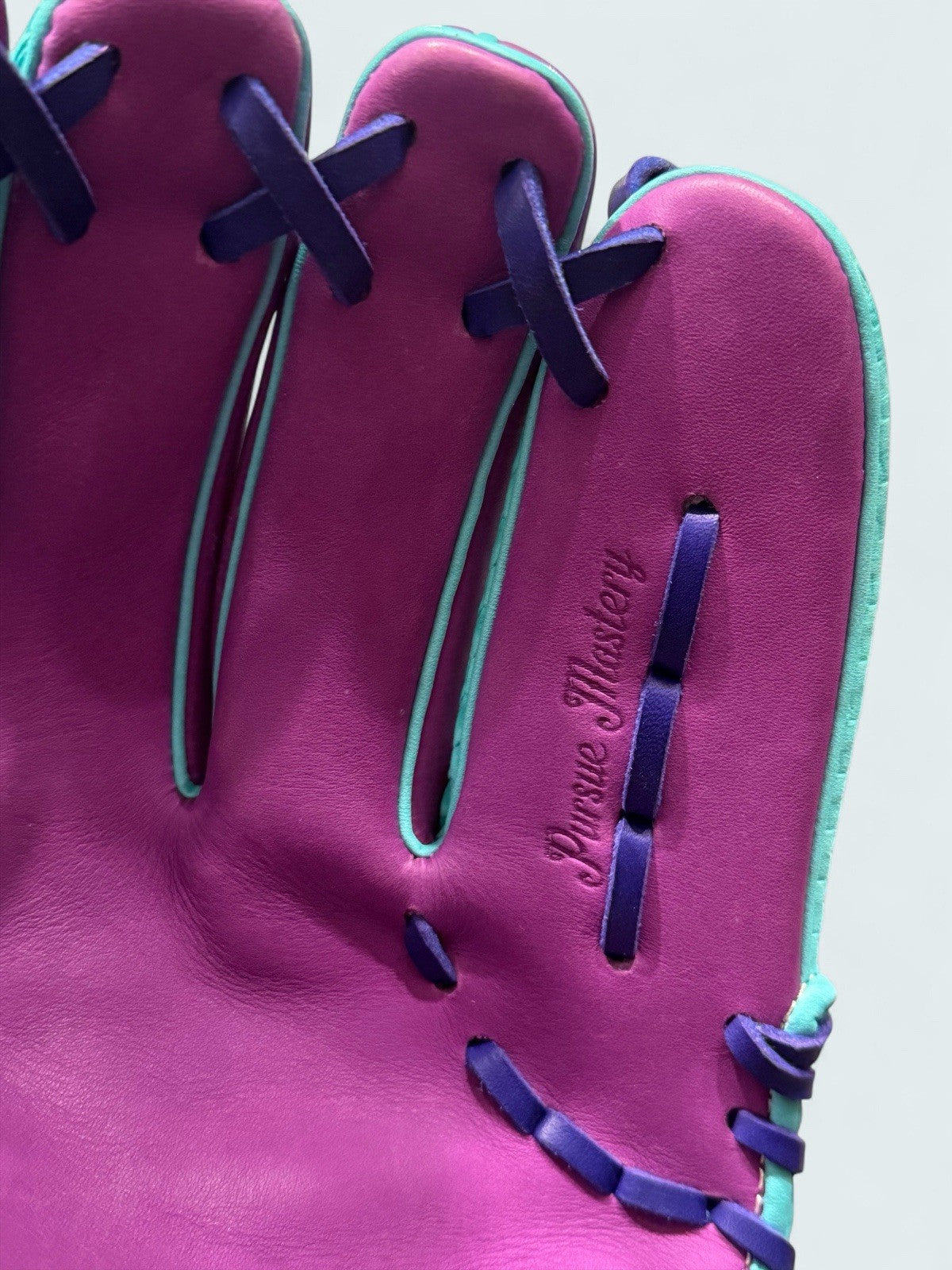 Emery 1417 Model - 11.5” Glove! Snake Skin - Pursue Mastery! Brand New / No Tags
