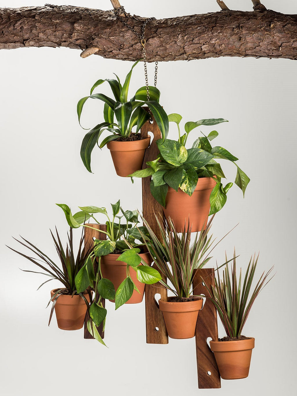 6-Pot Acacia Wood Hanging Plant Holder 3-Piece Set for Indoor Outdoor