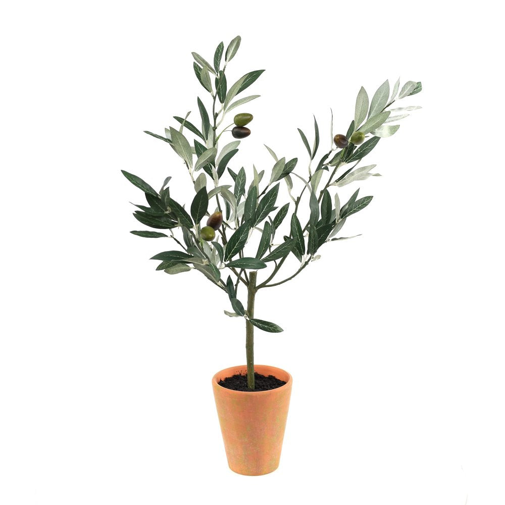 10" Green Artificial Olive In Round Terra Cotta Terracotta Pot