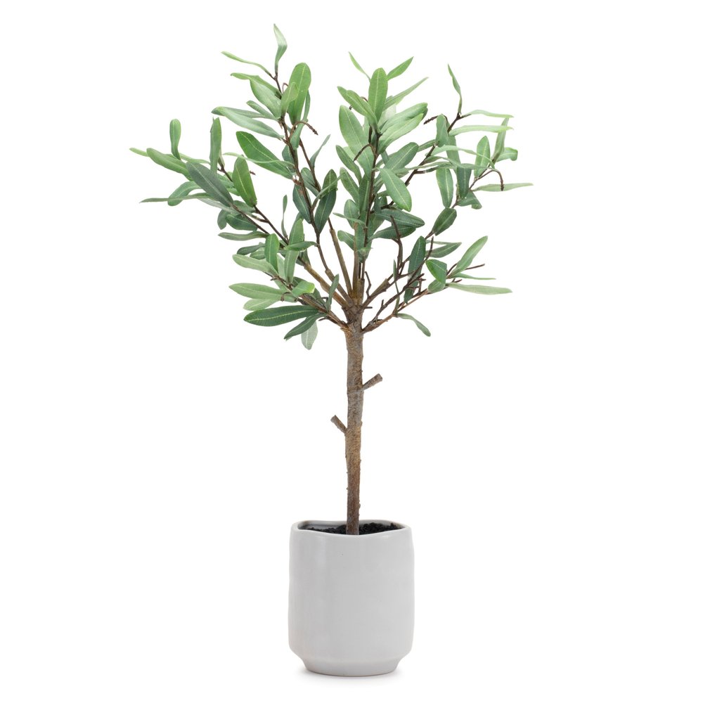 10" Green Artificial Olive In Round White Porcelain Pot