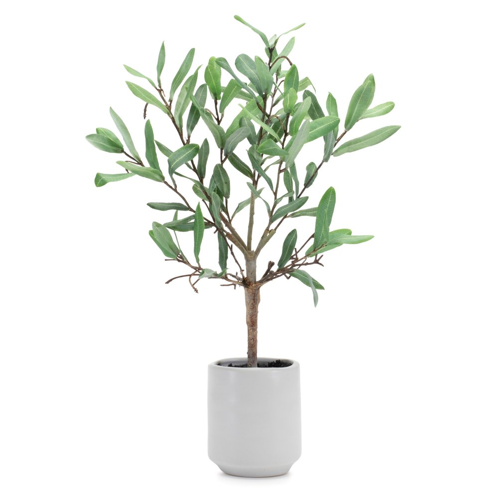 12" Green Artificial Olive In Round White Porcelain Pot