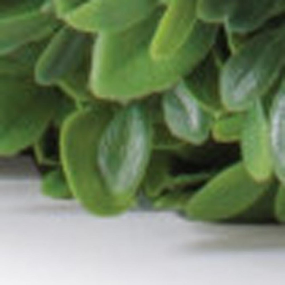 6" Green Artificial Foliage