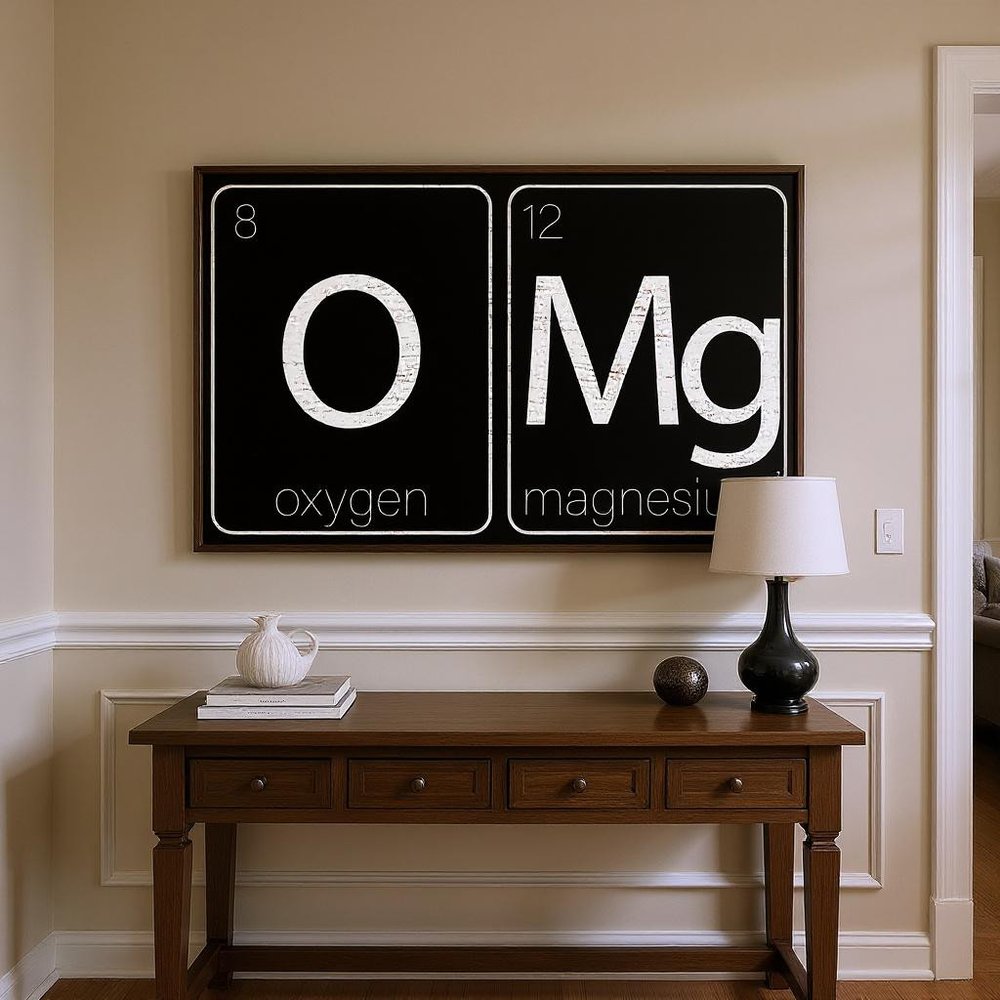 12" X 12" Black And White OMG Oxygen and Magnesium Wood Wall Decor