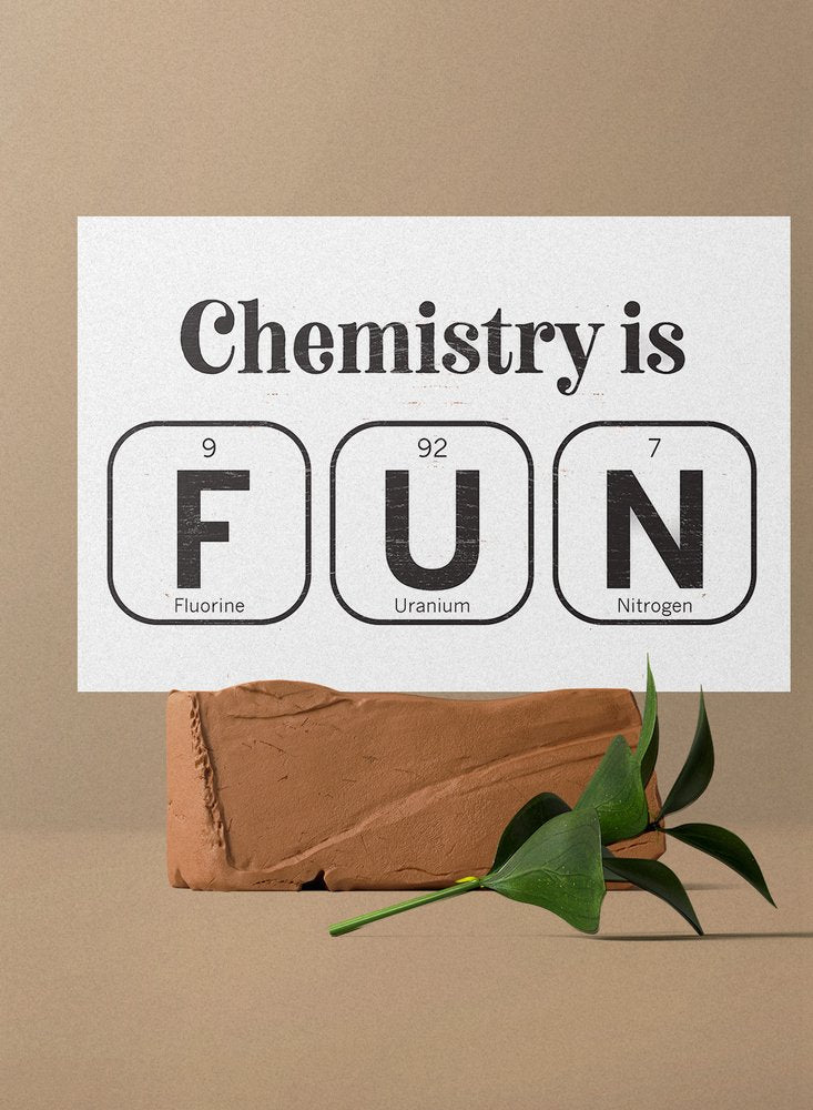 12" X 12" White And Black Chemistry is FUN: Fluorine, Uranium & Nitrogen Wood Wall Decor