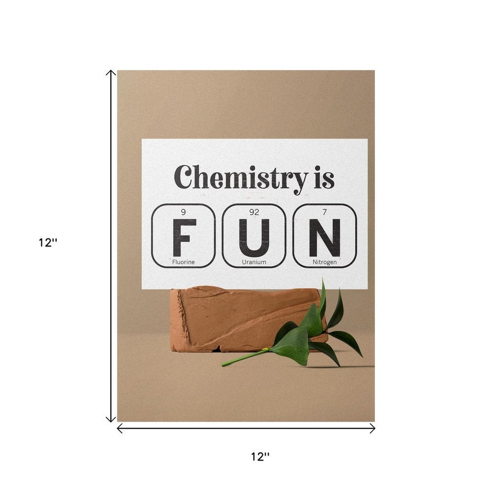 12" X 12" White And Black Chemistry is FUN: Fluorine, Uranium & Nitrogen Wood Wall Decor