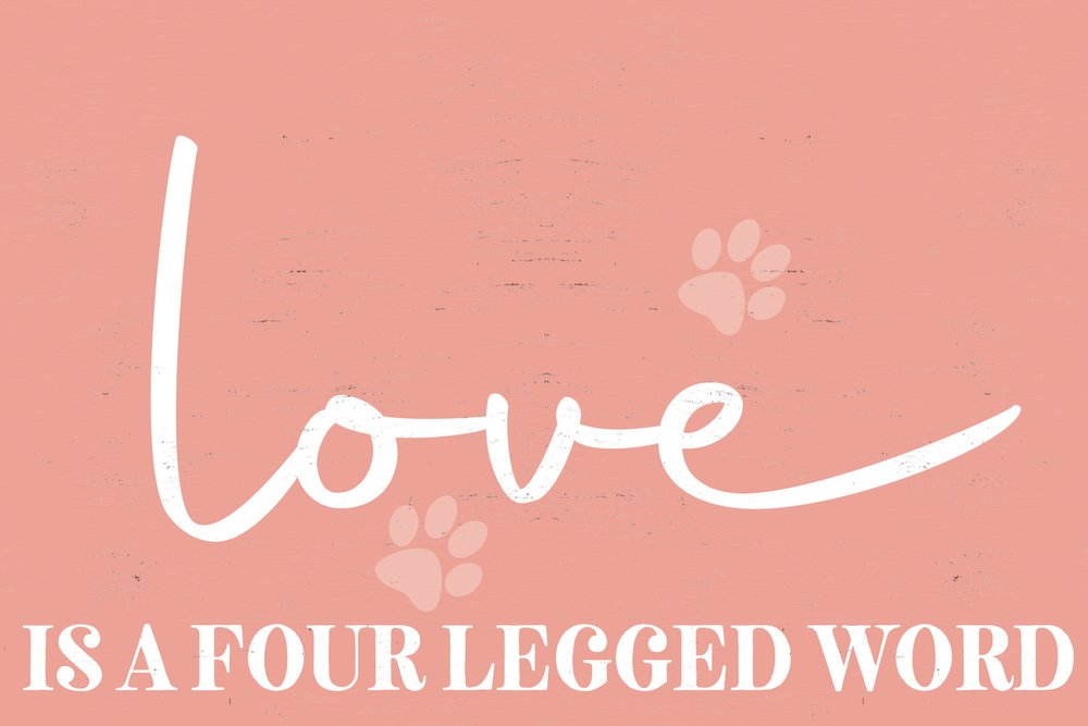12" X 12" Pink And White Love Is A Four Legged Word Canvas Wall Decor