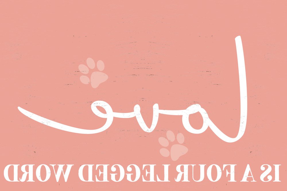 12" X 12" Pink And White Love Is A Four Legged Word Canvas Wall Decor