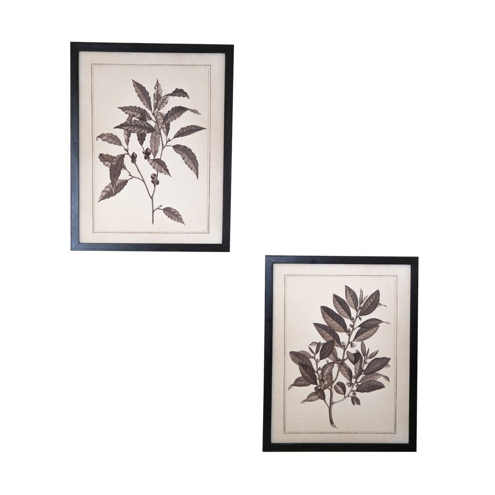 Set of Two Black And White Flower Canvas Square Framed Art