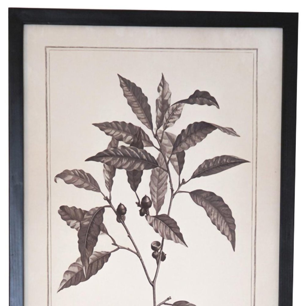 Set of Two Black And White Flower Canvas Square Framed Art