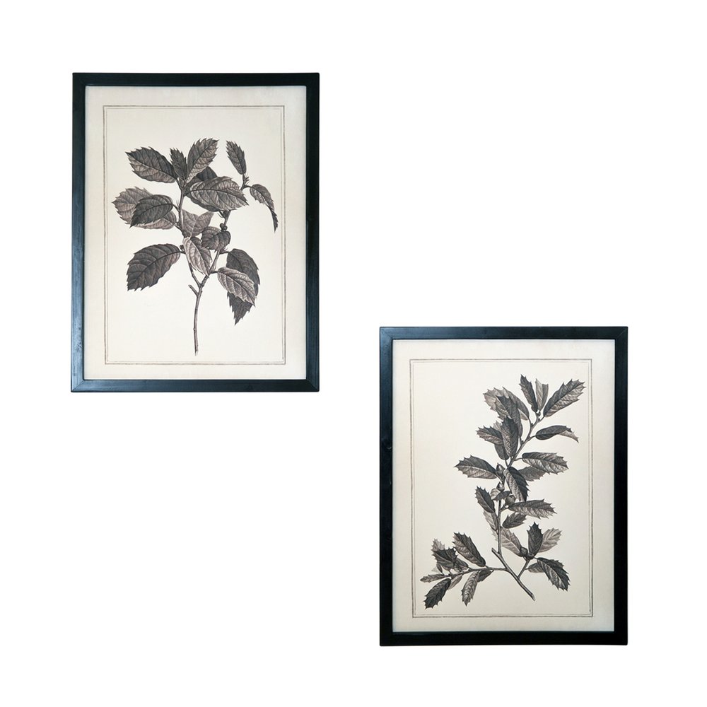 Set of Two Black And White Flower Canvas Square Framed Art
