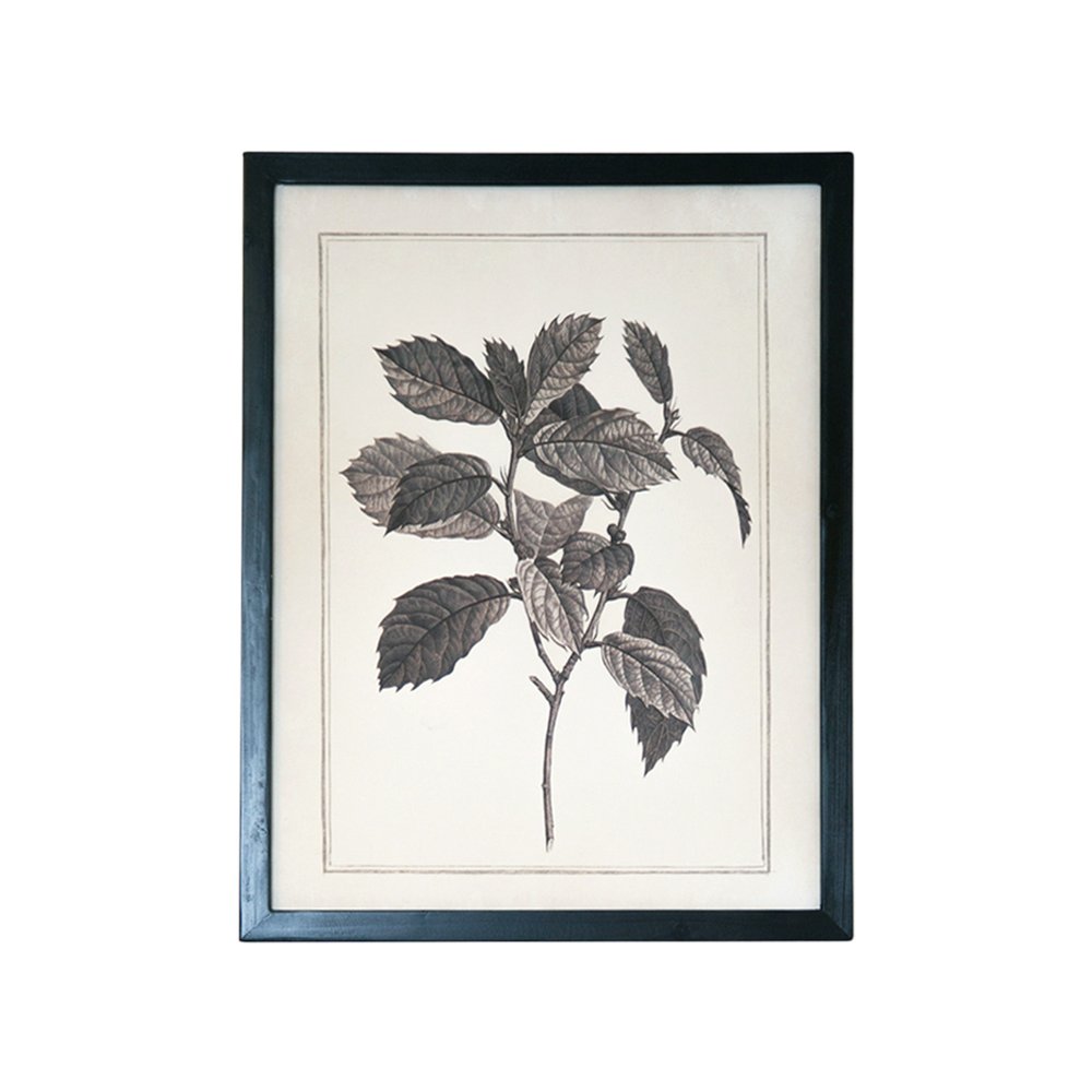 Set of Two Black And White Flower Canvas Square Framed Art