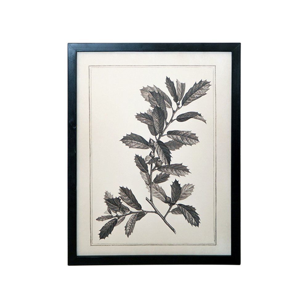 Set of Two Black And White Flower Canvas Square Framed Art