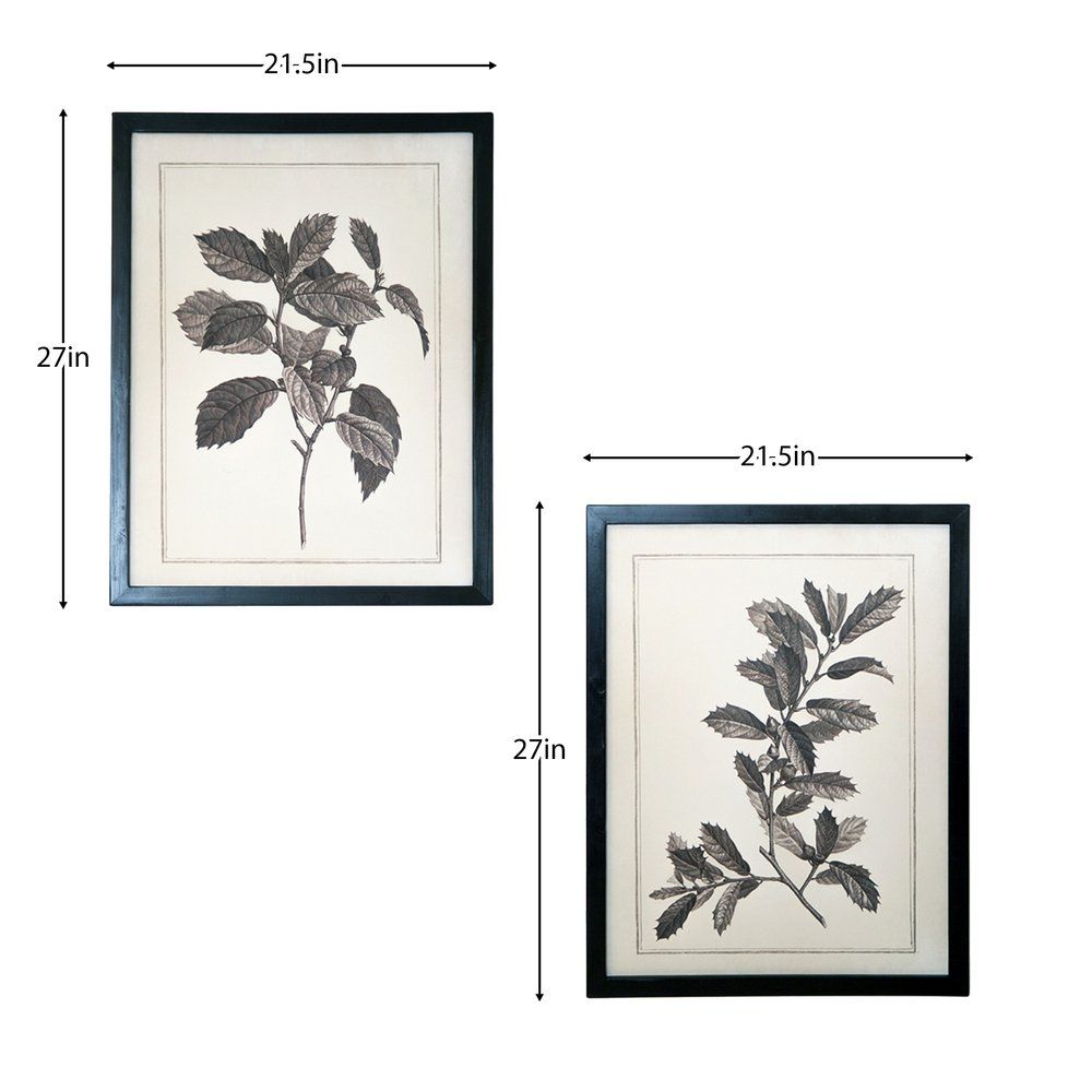 Set of Two Black And White Flower Canvas Square Framed Art