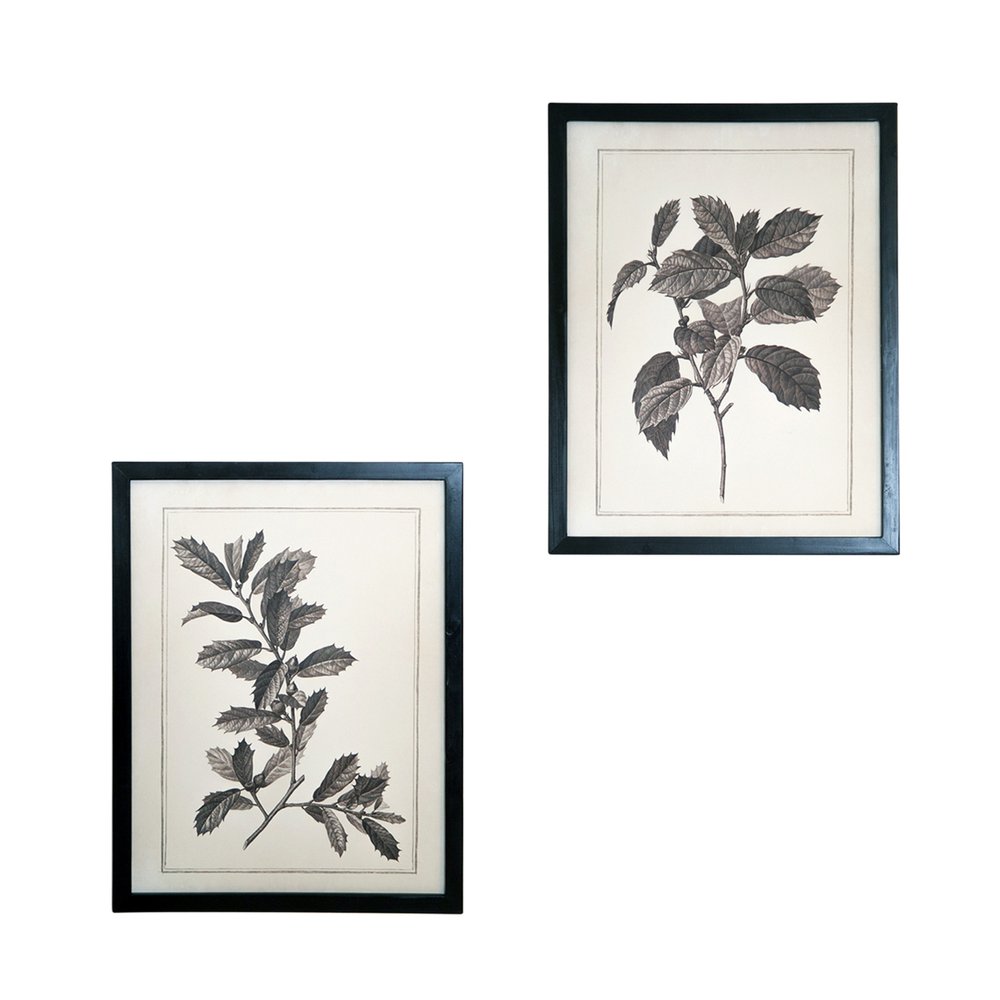 Set of Two Black And White Flower Canvas Square Framed Art