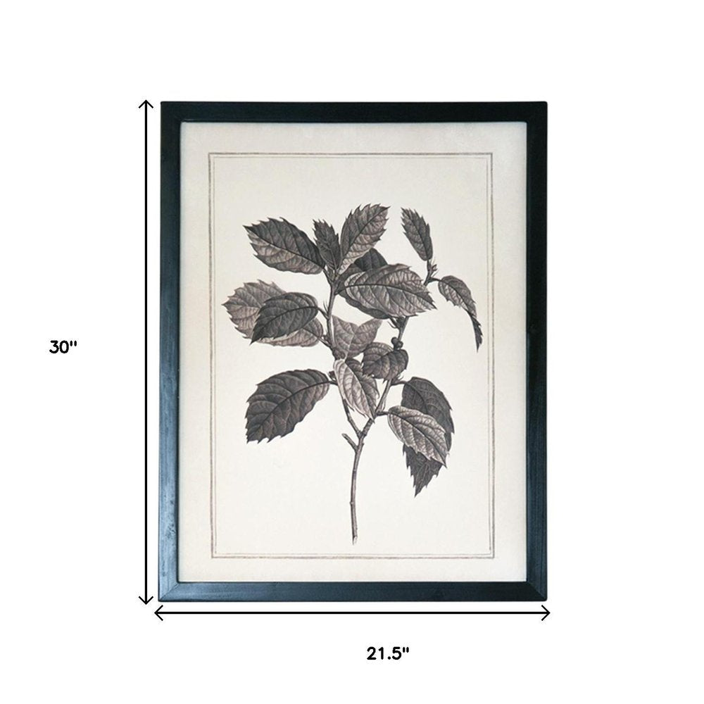 Set of Two Black And White Flower Canvas Square Framed Art