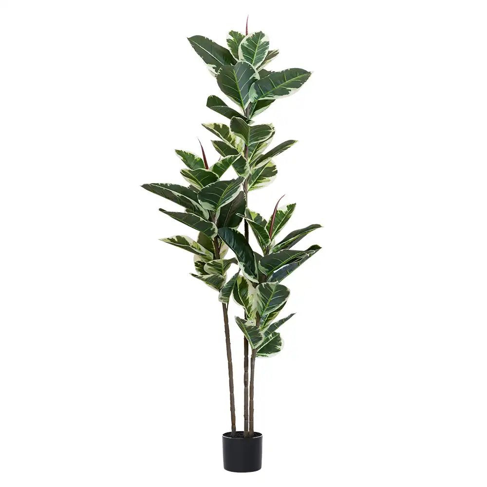 7" Green Artificial Rubber In Cylindrical Black Cement Pot