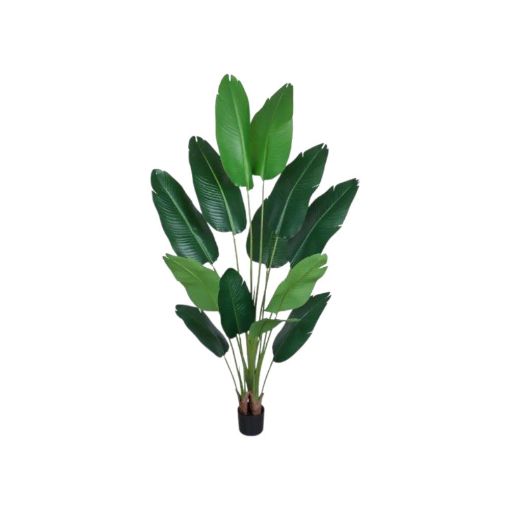 Set of Two 7" Green Artificial Banana Leaf In Cylindrical Black Cement Pot