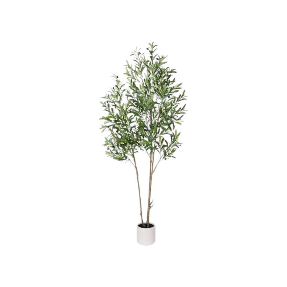 7" Green Artificial Olive In Cylindrical White Cement Pot