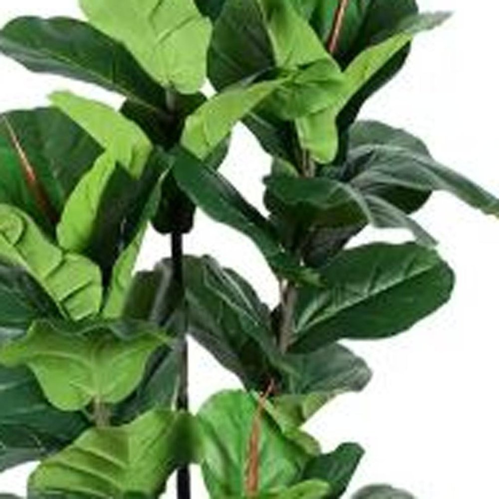 7" Green Artificial Fiddle Leaf In Cylindrical Black Cement Pot