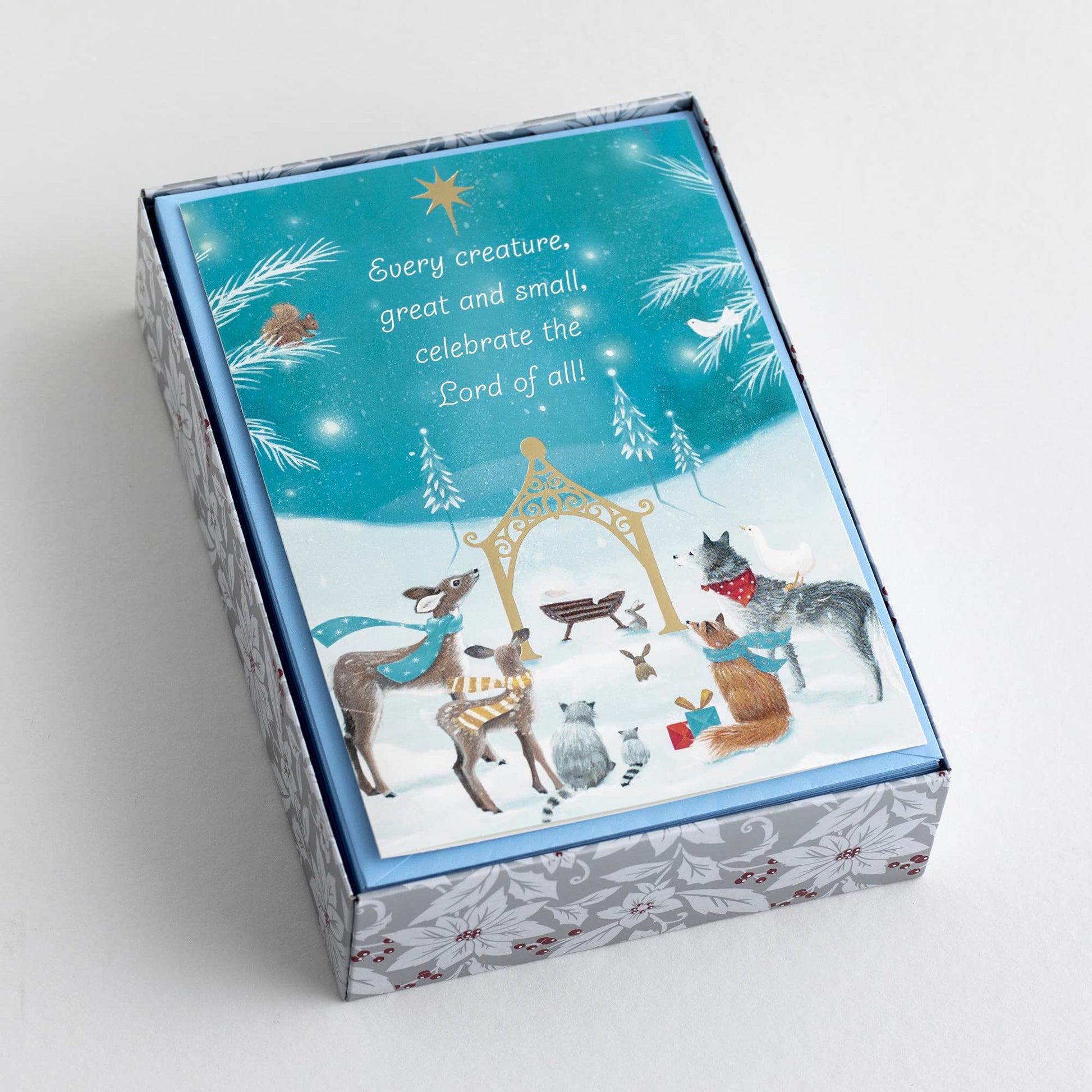 DaySpring 18 Christmas Cards w/ Bible Verse & Envelopes, Blue, "Every Creature"