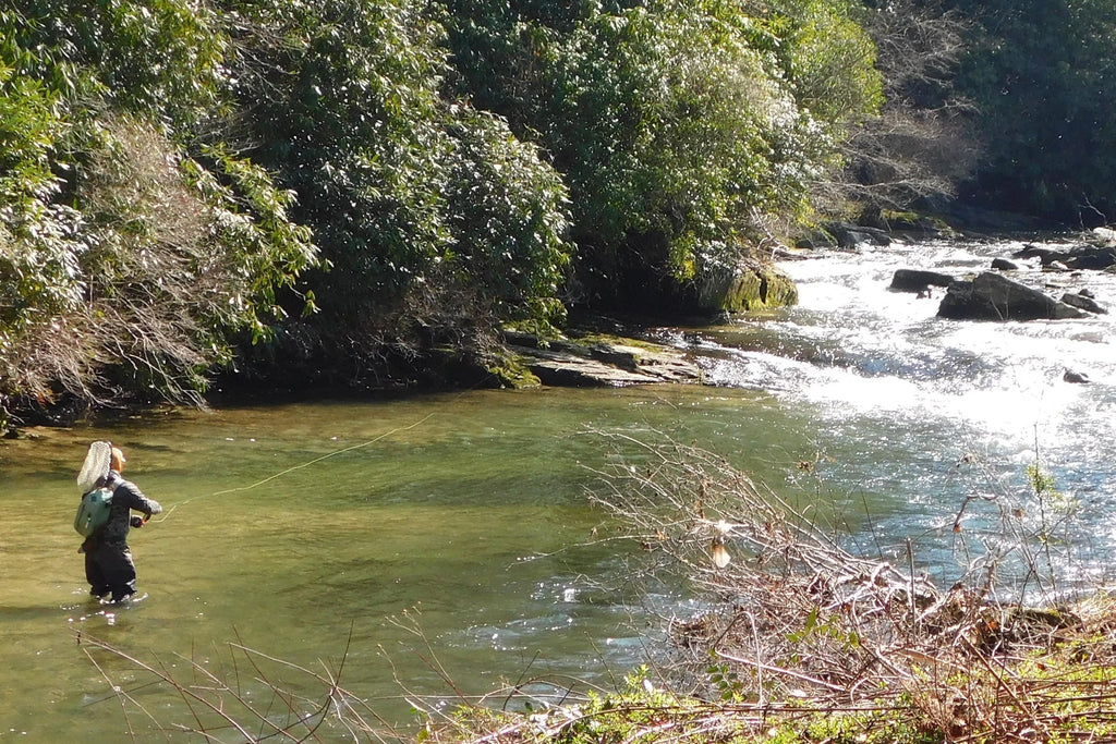Orange Iris October Caddis Emerger Caddis  Trout Dry Fly - 12 Flies Hook Size 8